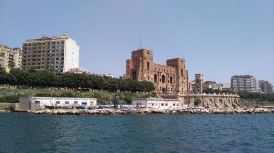 Jonian Dolphin Conservation